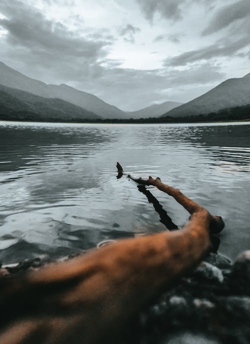 有关分公司, 垂直拍摄, 堕落的免费素材图片