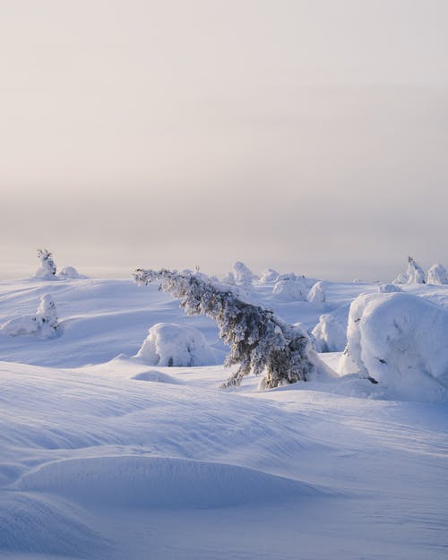 有关下雪的天氣, 冬季, 冰的免费素材图片