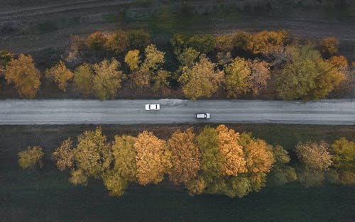 有关樹木, 汽車, 無人機攝影的免费素材图片