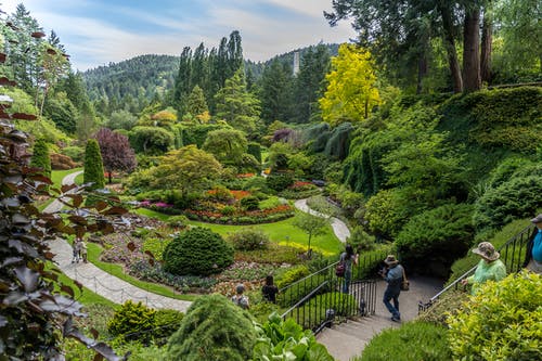 有关butchart花园, 不列颠哥伦比亚省, 人的免费素材图片