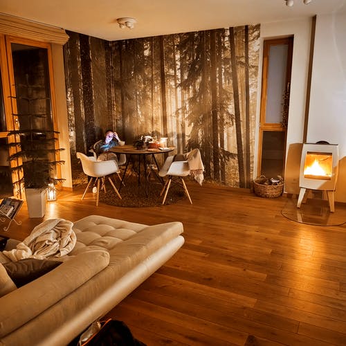 有关休息室, 壁爐, 女人的免费素材图片