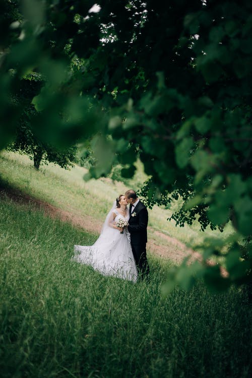 有关一對, 人, 垂直拍摄的免费素材图片