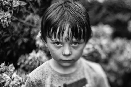 有关圆领t恤, 小, 工厂的免费素材图片