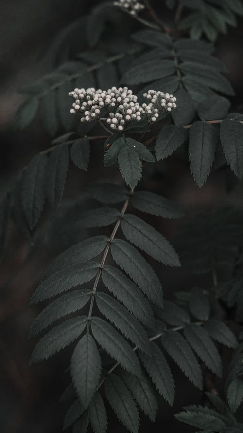 有关垂直拍摄, 工厂, 模糊的背景的免费素材图片