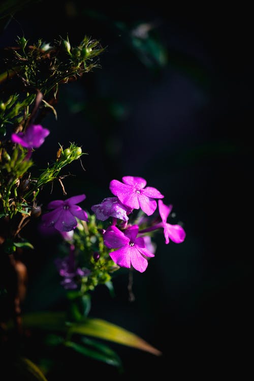 有关垂直拍摄, 工厂, 微妙的免费素材图片