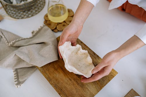 有关手, 握住, 殼的免费素材图片