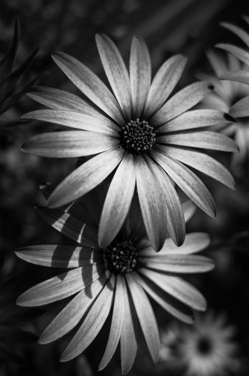 有关季節, 工厂, 微妙的免费素材图片