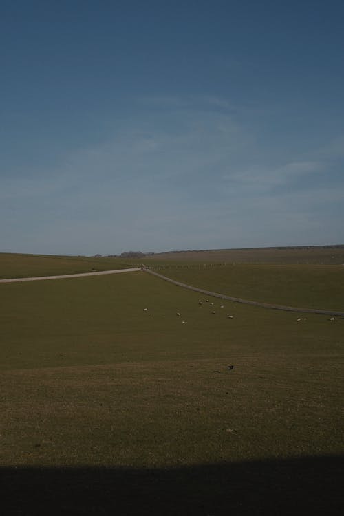 有关國家, 天性, 天空的免费素材图片