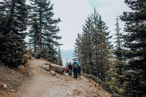 有关冒險, 小徑, 山腰的免费素材图片