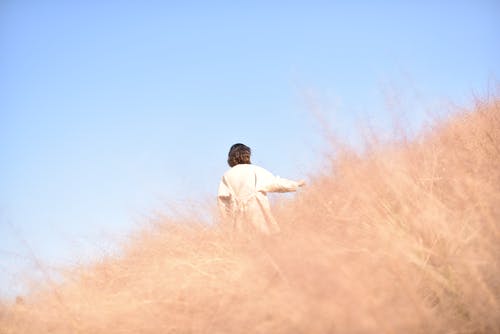 有关天性, 女人, 後視圖的免费素材图片