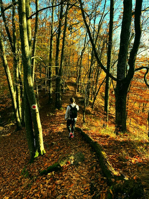 有关徒步旅行, 旅行, 旅遊慾的免费素材图片