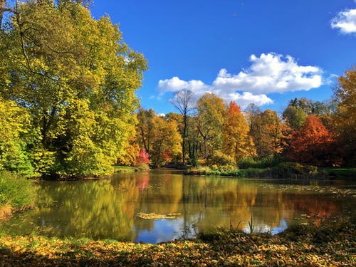 有关反射, 天性, 戶外的免费素材图片