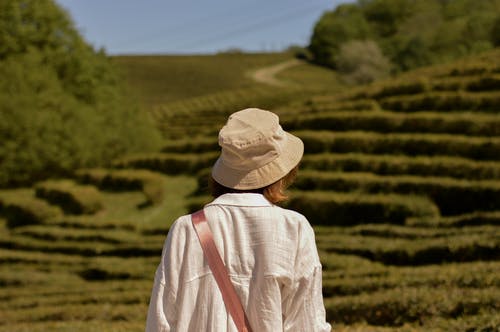 有关女人, 帽子, 後視圖的免费素材图片