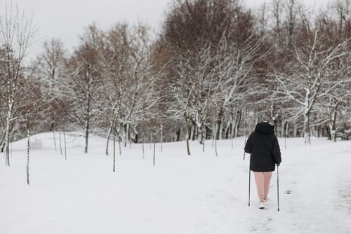 有关冬季, 冷, 大雪覆盖的免费素材图片