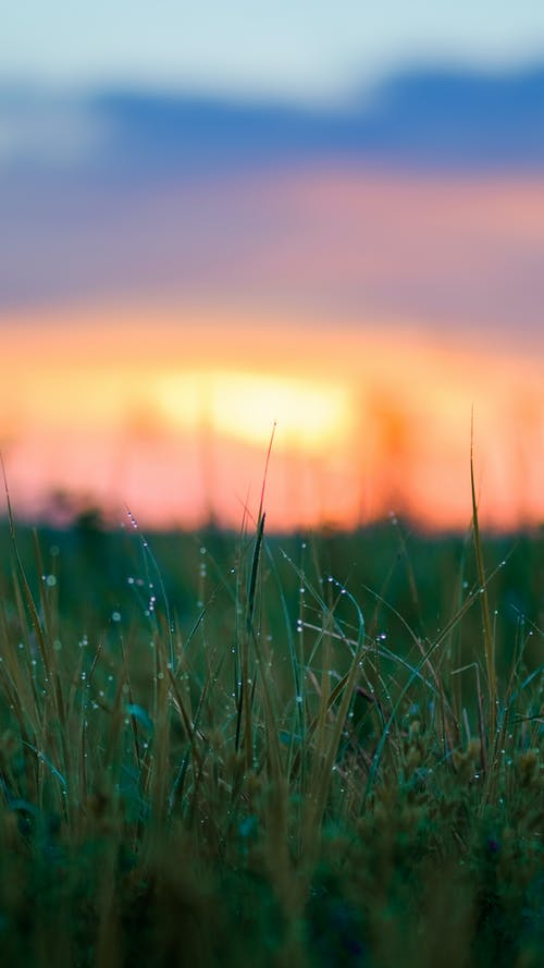 有关垂直拍摄, 戶外, 早上的免费素材图片