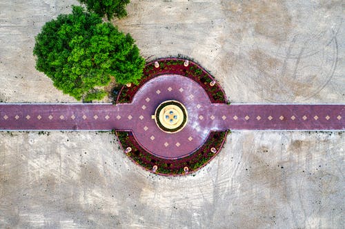 有关樹, 無人機攝影, 空中拍攝的免费素材图片