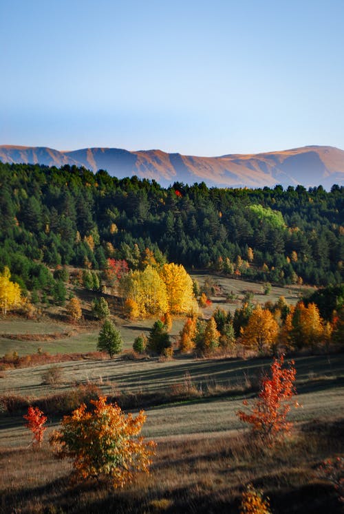 有关下落, 天性, 天空的免费素材图片
