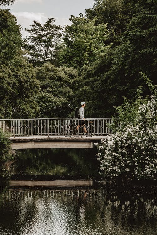 有关側面圖, 垂直拍摄, 天性的免费素材图片
