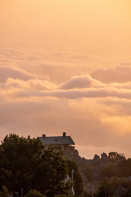 有关垂直拍摄, 天性, 小屋的免费素材图片