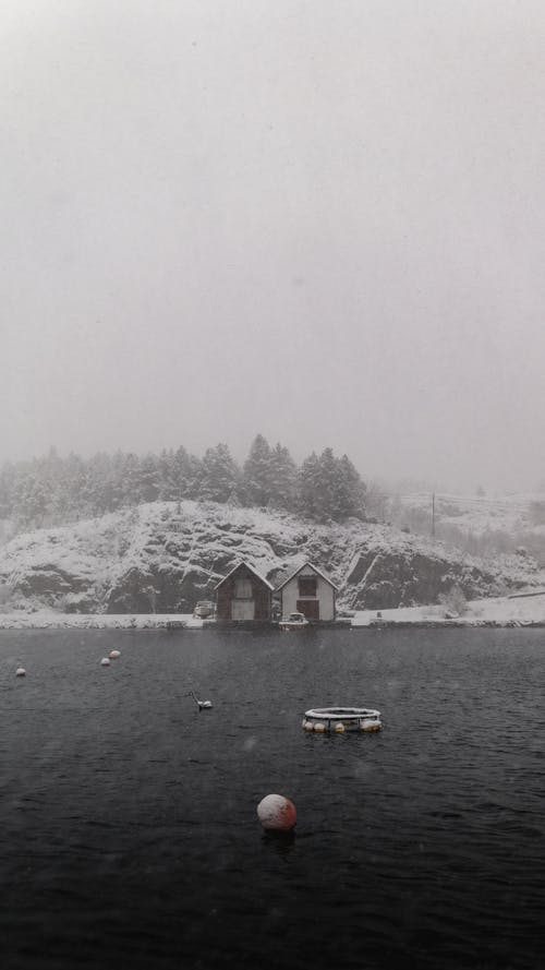 有关下雪, 冬季, 冷的免费素材图片