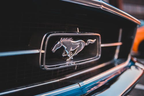 有关特写, 野馬, 靜物的免费素材图片