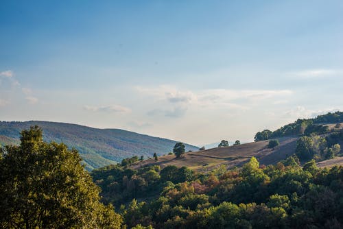 有关和平的, 土耳其, 天性的免费素材图片