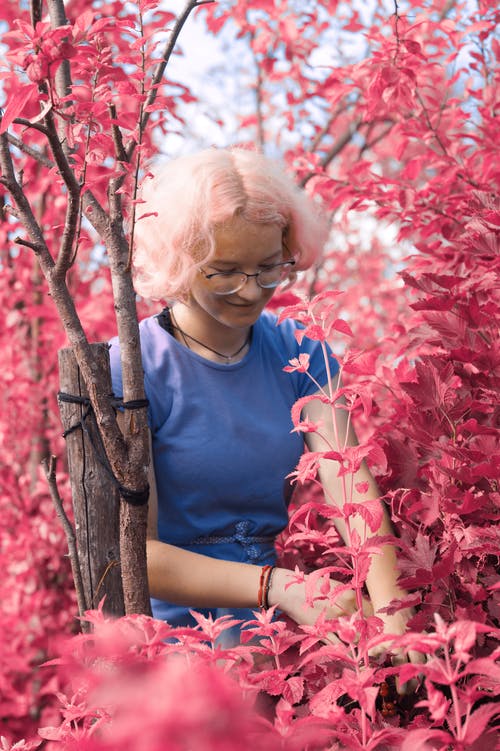 有关分支機構, 发色, 垂直拍摄的免费素材图片