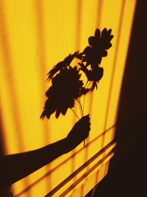 拿着鲜花的人的影子的照片 · 免费素材图片