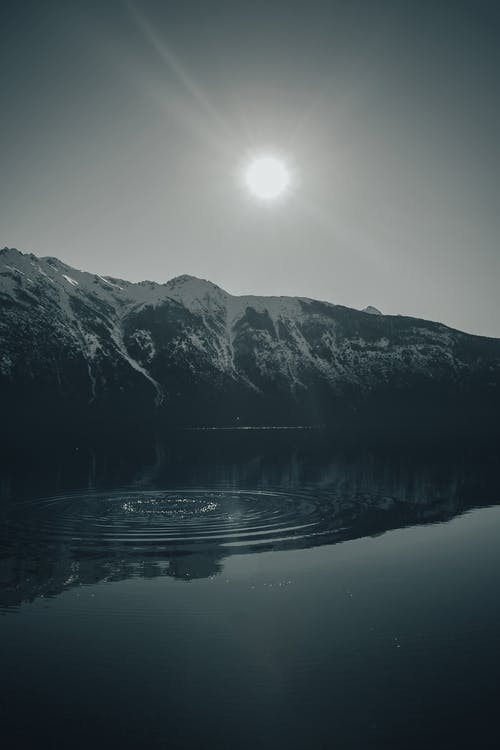 有关冬季, 垂直拍摄, 壯觀的免费素材图片