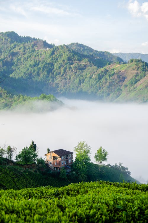 有关山坡, 山谷, 有薄霧的的免费素材图片