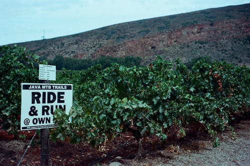 有关增長, 植物, 標誌的免费素材图片