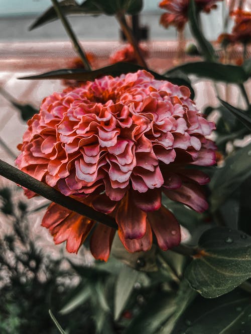 有关垂直拍摄, 幹, 戶外的免费素材图片