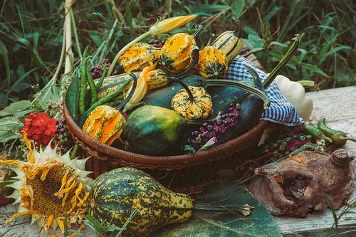 有关健康, 新鮮蔬菜, 新鮮農產品的免费素材图片