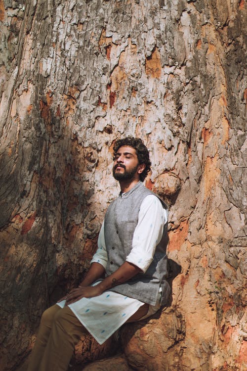 有关樹, 沉思, 瑜伽的免费素材图片
