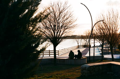 有关人, 光秃秃的树木, 公園的免费素材图片