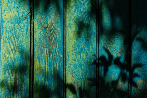 有关原本, 手撐式(用手掌撐plank), 樹葉的免费素材图片