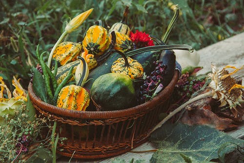 有关健康, 新鮮蔬菜, 新鮮農產品的免费素材图片