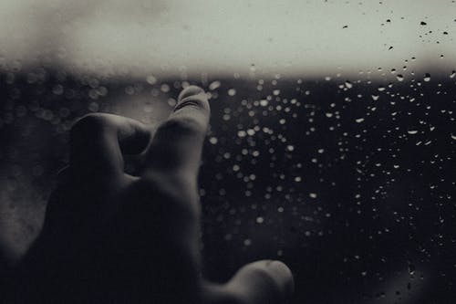 有关單色, 指, 水珠的免费素材图片