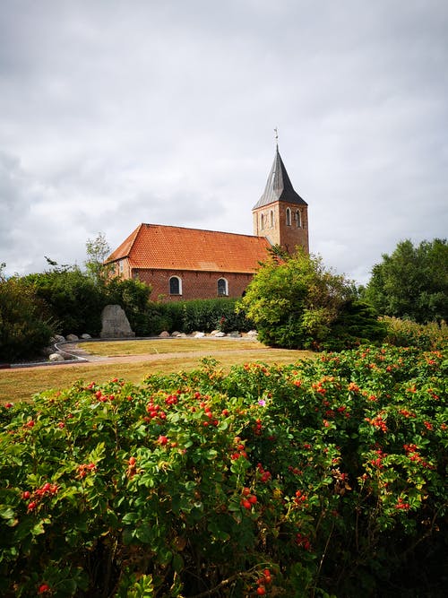 有关低角度拍攝, 垂直拍摄, 外觀的免费素材图片