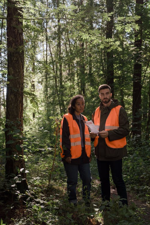 有关人, 伸出援助之手, 合作的免费素材图片