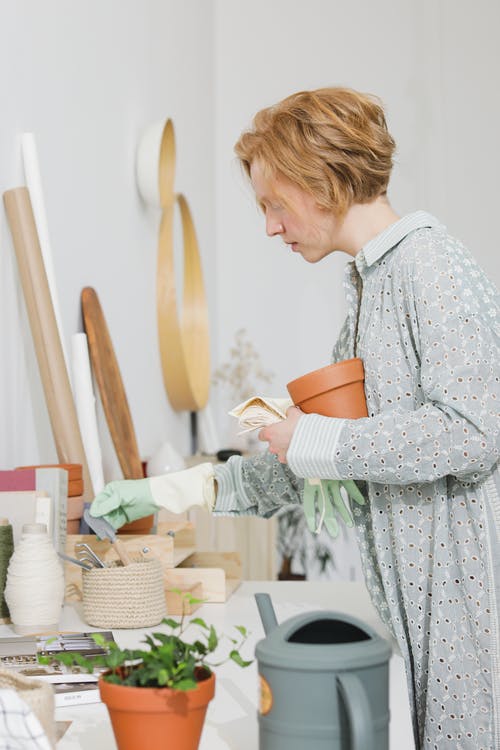 有关側面圖, 噴壺, 园艺工具的免费素材图片