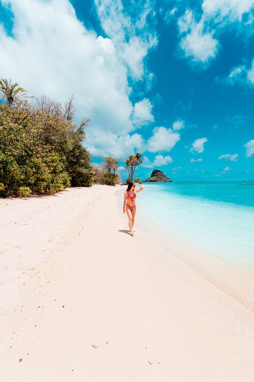 有关女人, 性感的, 樹木的免费素材图片