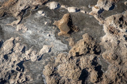 有关乾的, 地面, 岩石的免费素材图片