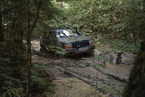 有关吉普車, 工厂, 森林的免费素材图片