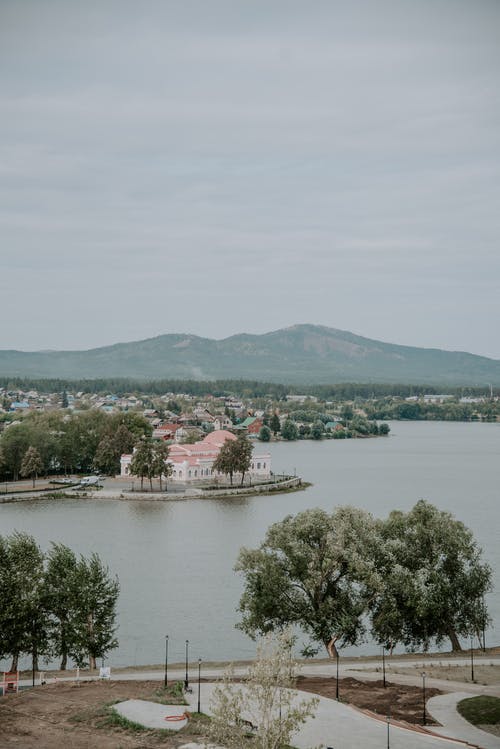 有关樹木, 水邊, 河的免费素材图片