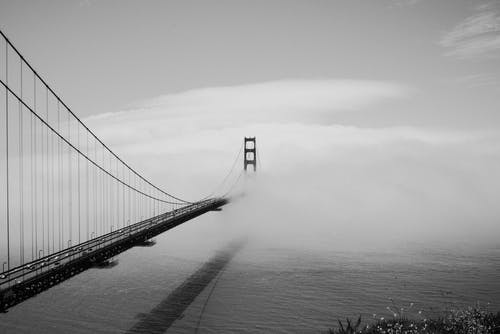 有关吊橋, 旅遊目的地, 有霧的免费素材图片