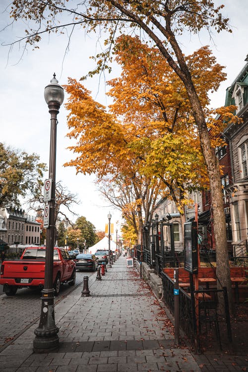有关人行道, 停放的汽車, 垂直拍摄的免费素材图片