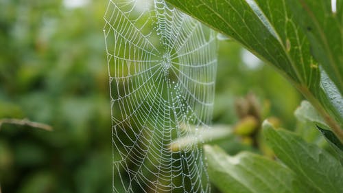 有关@户外, Web, 困住的免费素材图片
