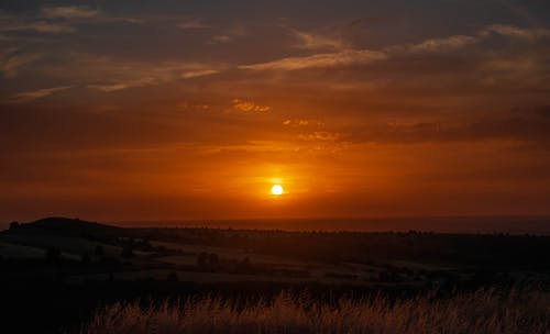 有关側面, 和平的, 天性的免费素材图片