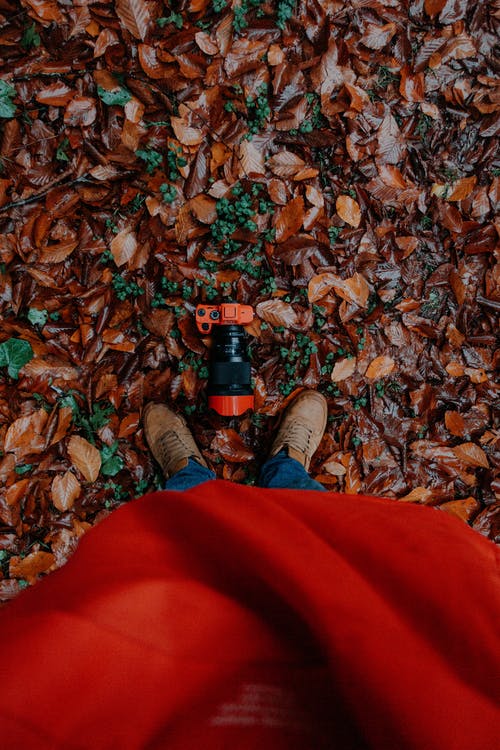 有关Copyspace, 下落, 不露面的免费素材图片